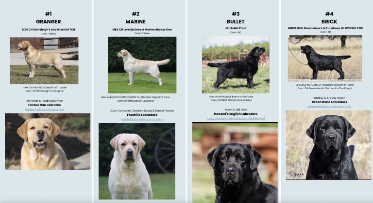 Screenshot 2025 07 01 at 3.36.58 PM 768x419